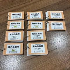 Mama Teacher ママティーチャー　極める地理　セット