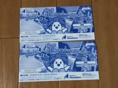 ハワイアンズの入場券