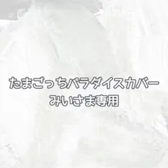 オーダーカバー　みいさま専用