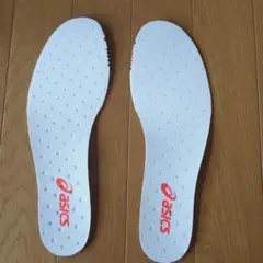 Item thumbnail for item a560fb3b-7846-490f-a2f2-04b1d4b47b57