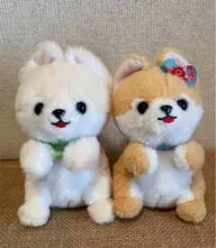 犬のぬいぐるみセット（2体）
