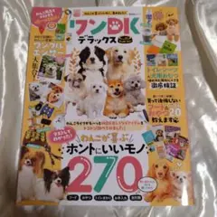 ワンDKデラックス