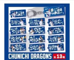 【バンテリンドーム限定ガチャ】 中日ドラゴンズ 応援歌キーホルダー55 細川選手