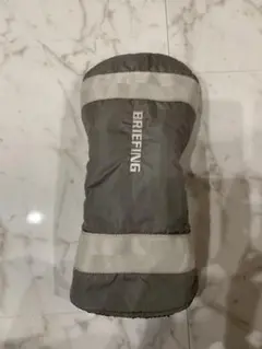 Item thumbnail for item 49d69829-d0ac-4b2d-a574-39fdc4937b9a