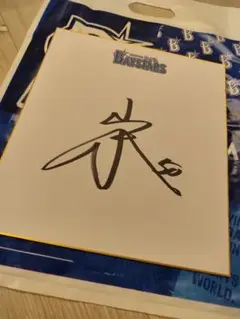 横浜DeNAベイスターズ #50 山本 直筆サイン 色紙