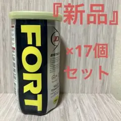 『新品』ダンロップ　フォート硬式テニスボール17個セット