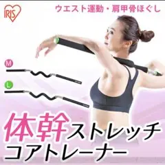 【廃盤品】CORE TRAINER 体幹ストレッチトレーナー　Lサイズ