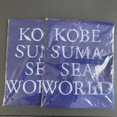 Item thumbnail for item b016e846-03b7-48a8-8340-a4f5a440c07a