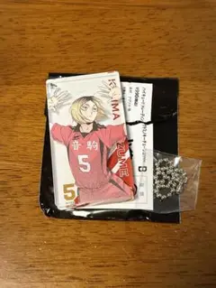 ハイキュー トレーディングドミノキーチェーン B 孤爪研磨