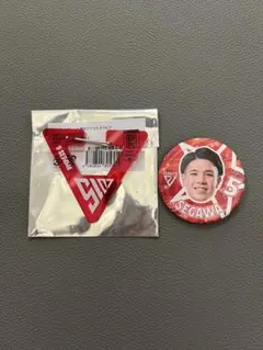 Item thumbnail for item 3dbfb119-315e-44c3-a434-934f2db7ddac