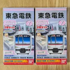 【匿名配送】Bトレインショーティー　東急5050系SHIBUYAヒカリエ号 Bトレインショ-ティ- 東急5050系4000番台「Shibuya Hikarie号