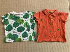 インセクトコレクション*シャツ２枚セット 80-90