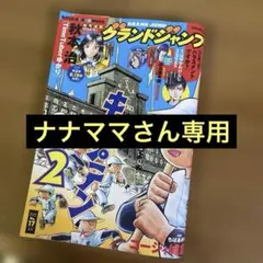 ナナママさん専用　グランドジャンプ
