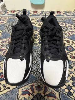 【未使用品】NIKE JORDAN HEIR PF