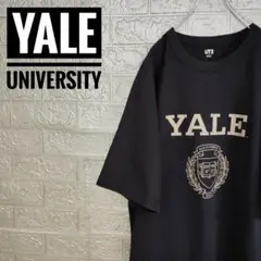 イェール大学カレッジロゴ美品半袖スウェット紺Mネイビー