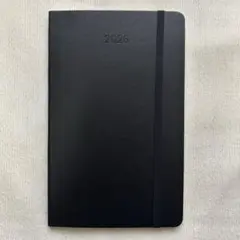 Item thumbnail for item ad7f9524-ec8b-479a-9813-d08785f38b10