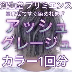資生堂プリミエンス アッシュグレージュ 1回分