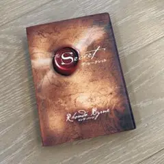 美品‼︎ The Secret 自己啓発本 ザ・シークレット ロンダ・バーン