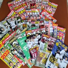 プロ野球選手名鑑 コレクション 2009-2023
