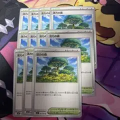 活力の森　11枚