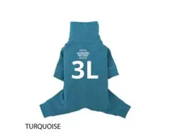 Item thumbnail for item adb89cf0-1aac-4be6-b9b6-ad767624ae41