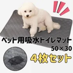 Item thumbnail for item 984b9f8c-02a0-483d-a428-56dc0e66e9b4