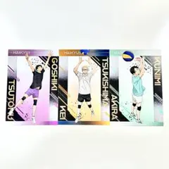 ハイキュー ユース 疑似ユース合宿 アニメイト ノベルティ ポストカード