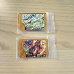 ポケモン フレンダ レガシー タグ ピック コライドン オーガポン