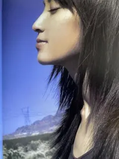 矢田亜希子　写真集DVD