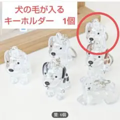 即購入可　犬の毛が入るキーホルダー 1個