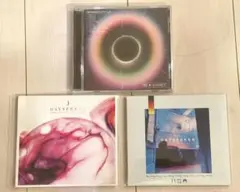 Dayseeker 3枚セット