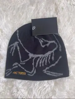 アークテリクス ビーニー　ニット帽 Bird Head Toque