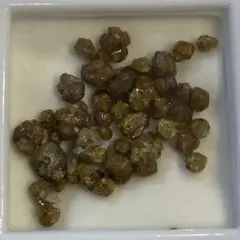 【国産鉱物】埼玉県 秩父鉱山 灰ばん柘榴石