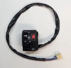 m33869108660_1.jpg?1750928110