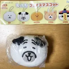 ナガノキャラクターズ　パグ　もっちるフェイスマスコット