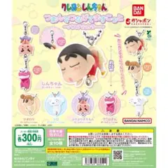 クレヨンしんちゃん　つまんでつなげてますこっと　パステルカラー　全10種セット