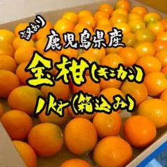 【鹿児島県産】キンカン 1kg A4箱たっぷり 金柑 送料無料 d