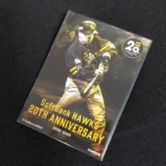 HAWKS ソフトバンク ホークス SoftBank 山川穂高