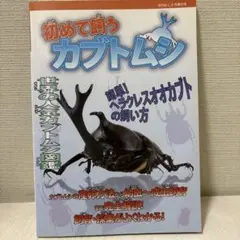 初めて飼うカブトムシ
