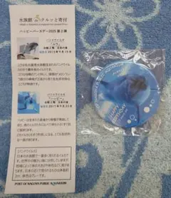 名古屋港水族館 ガチャ 缶バッジ バンドウイルカ ユウ ①
