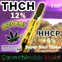 THCHリキッド《Highpotential CRDP+》SSD②