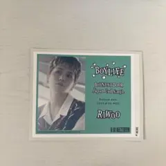 boynextdoor boylife リウ　ステッカー　ラベル缶　自販機