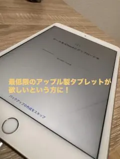 Apple iPad mini4
