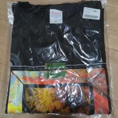 Item thumbnail for item 597738a3-db80-4564-94ec-7e1c0003e465