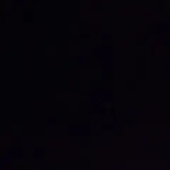 専用