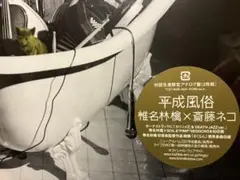 《新品未使用未開封2枚組 LPレコード美品》椎名林檎x齋藤ネコ / 平成風俗