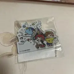 しぐなるわん　ダイカットマグネットC