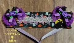 Item thumbnail for item 9b729016-4e50-49e5-9ed7-0a6a275ba27d