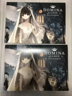 DOMINA GAMES 2025 CALENDAR 2個