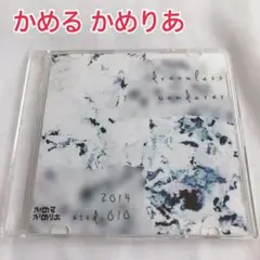 dreamless wanderer / かめるかめりあ